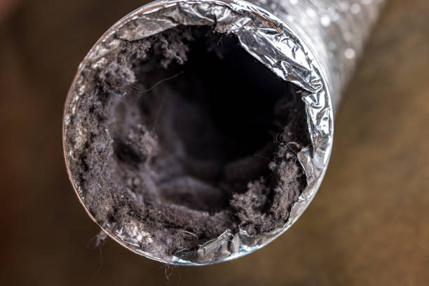 Air Duct Mold Removal in CO
