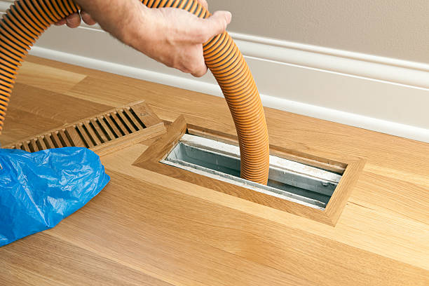 Best Air Duct Mold Removal  in Elizabeth, CO